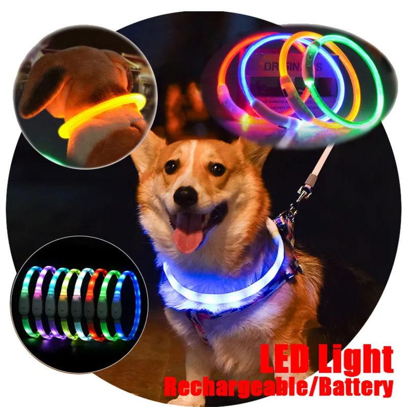 Colar de piscamento colorido de formação do cachorrinho do diodo emissor de luz das coleiras de cão de couro